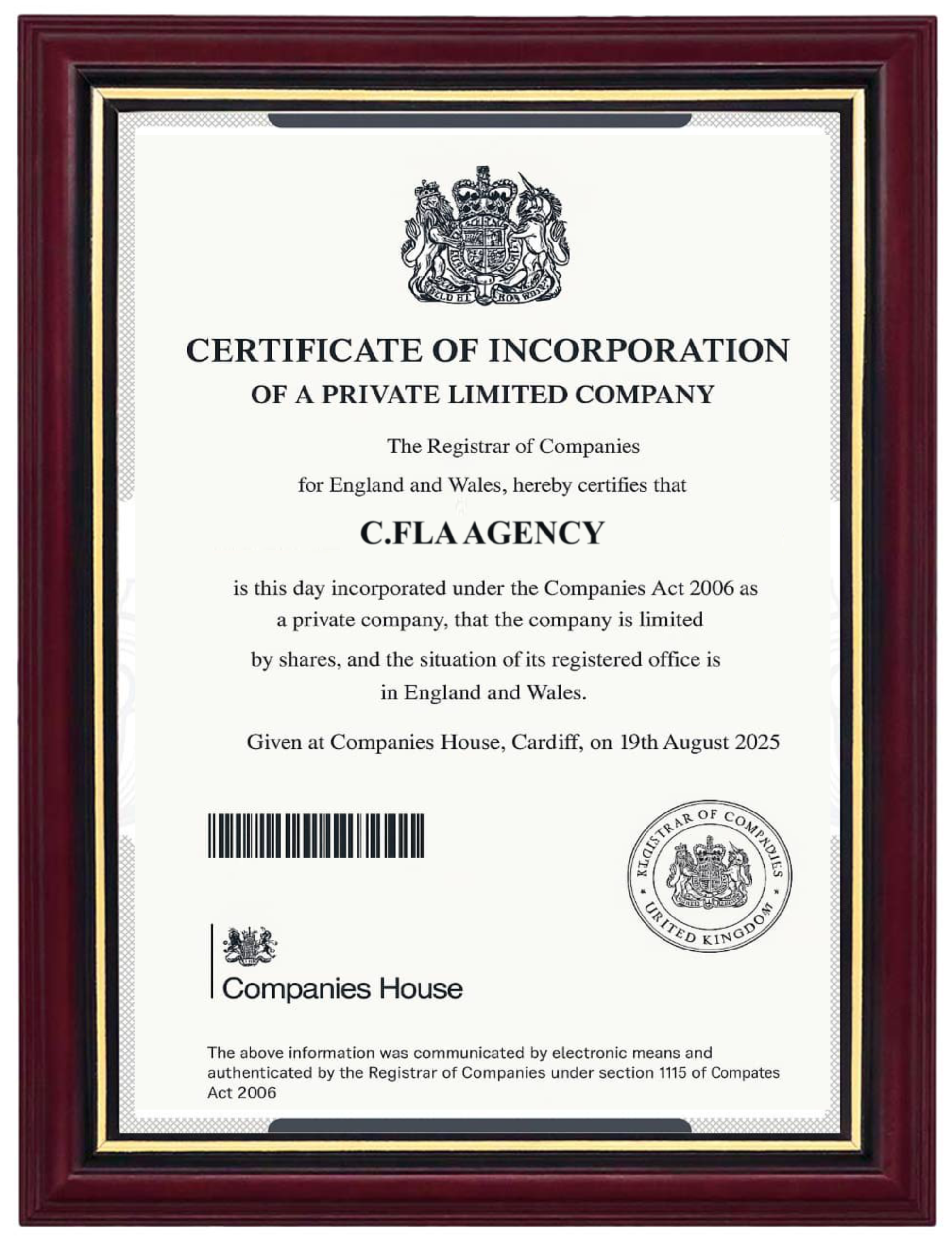 Financial License